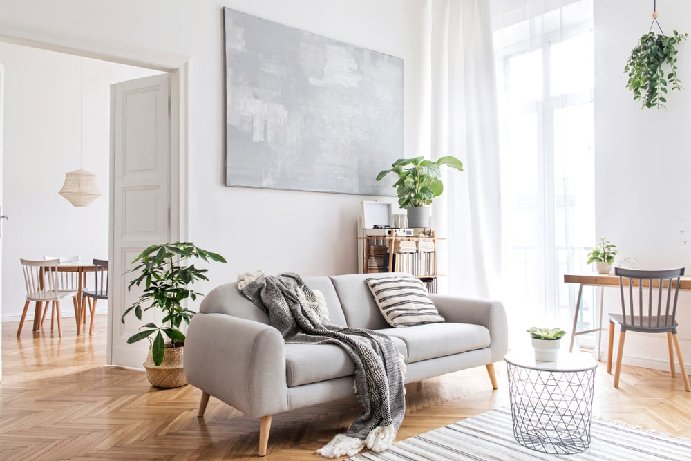 Stile scandinavo: un tocco di classe in una casa moderna 1 Immagine di salotto luminoso con piante