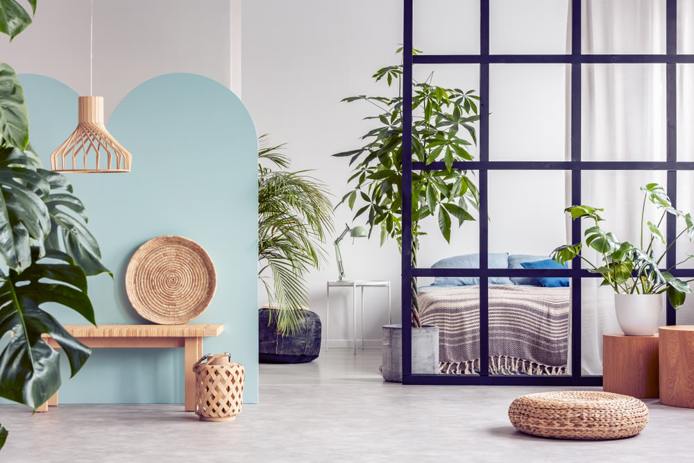Come nascondere il letto in un monolocale? 3 Immagine di vetrata divisoria casa