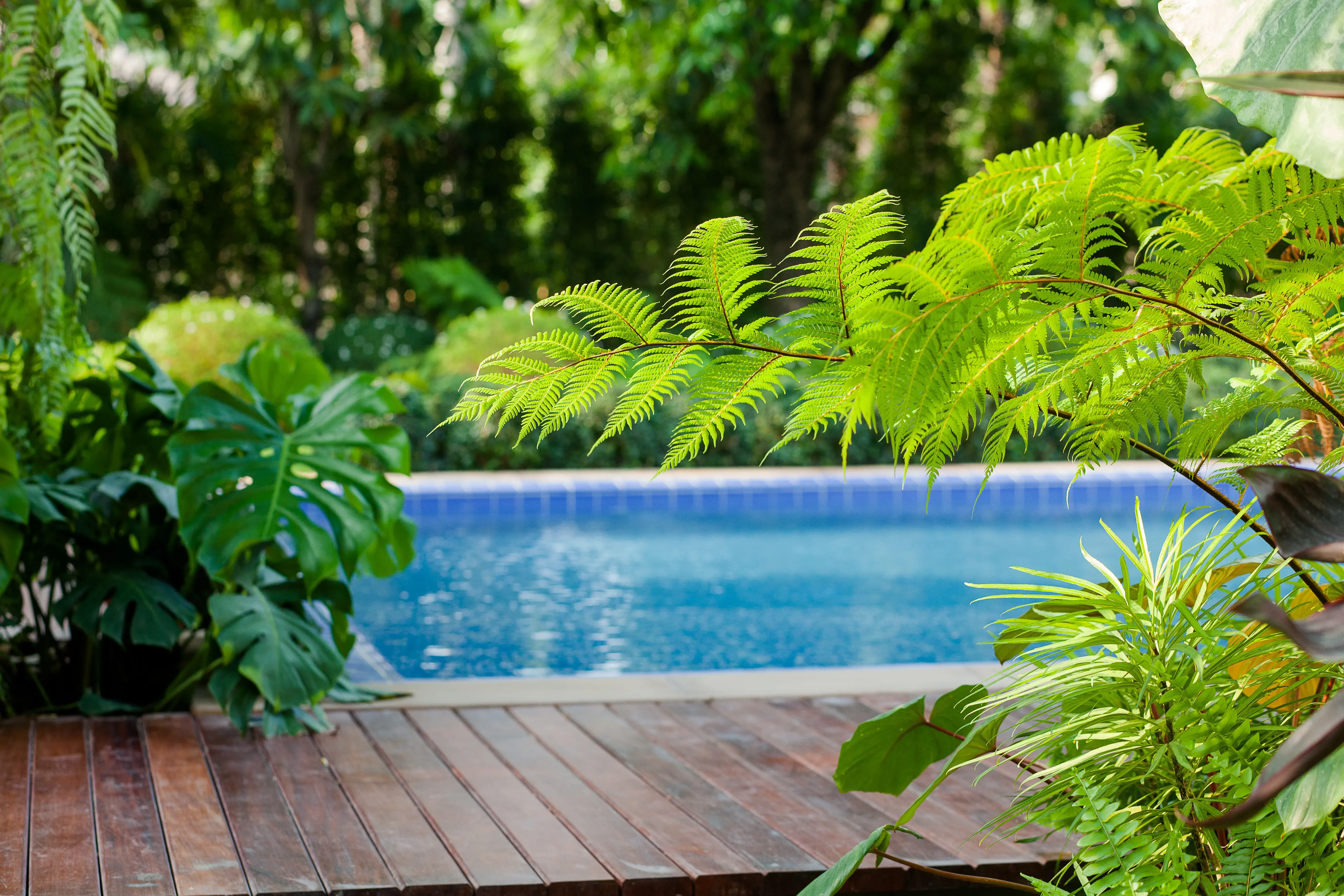Piscine 3 Immagine di piscine outdoor