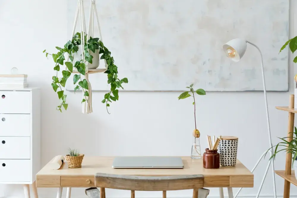 Come ricavare un angolo studio funzionale in casa? 1 Immagine di studio