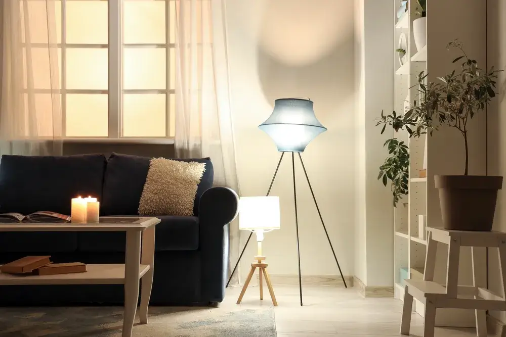 Piantane da terra: una soluzione decor 2 Immagine di piantane casa