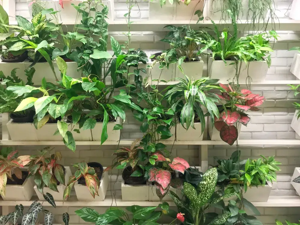 Giardini pensili per una la città più verde 3 Immagine di giardinocasa