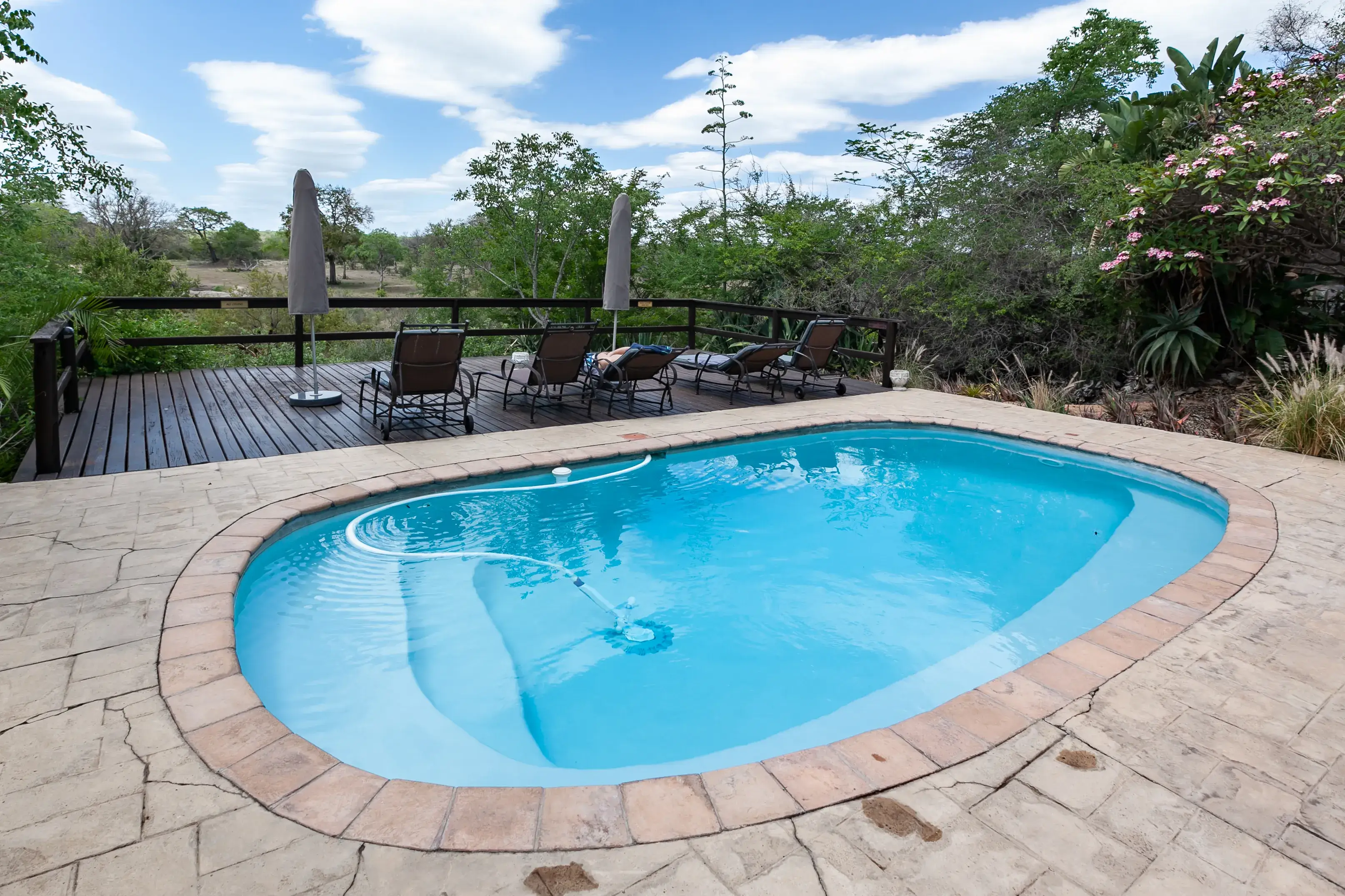 Idee per rivestire la piscina 3 Immagine di piscina 1