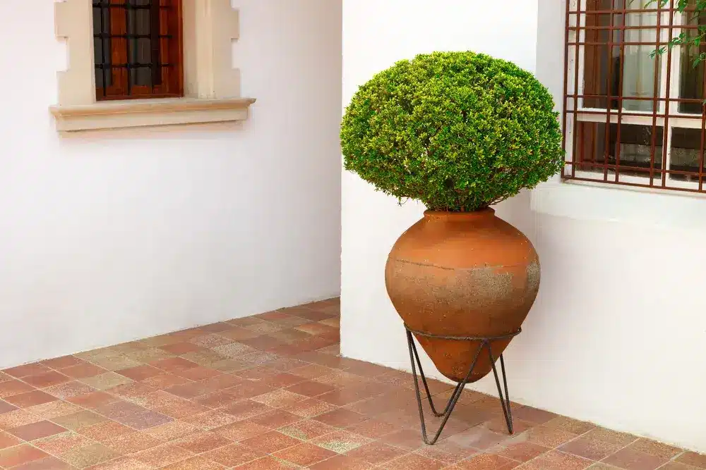 Decorare casa con le anfore 3 Immagine di anfore da interni