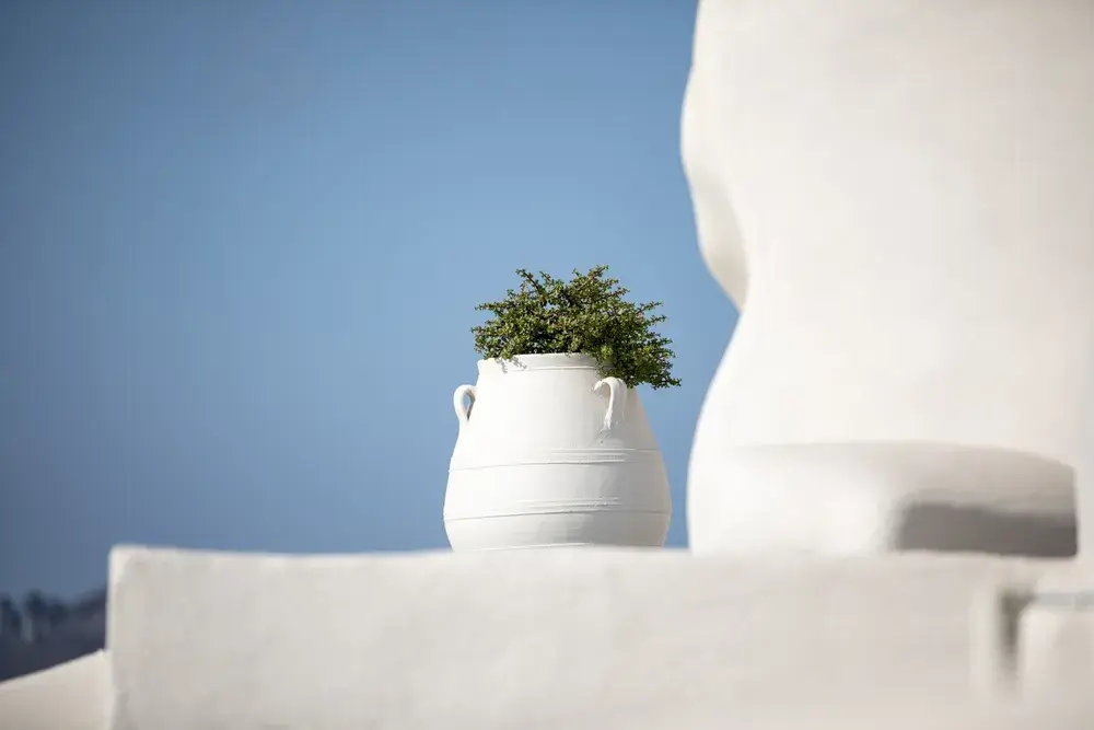 Decorare casa con le anfore 9 Immagine di anfore