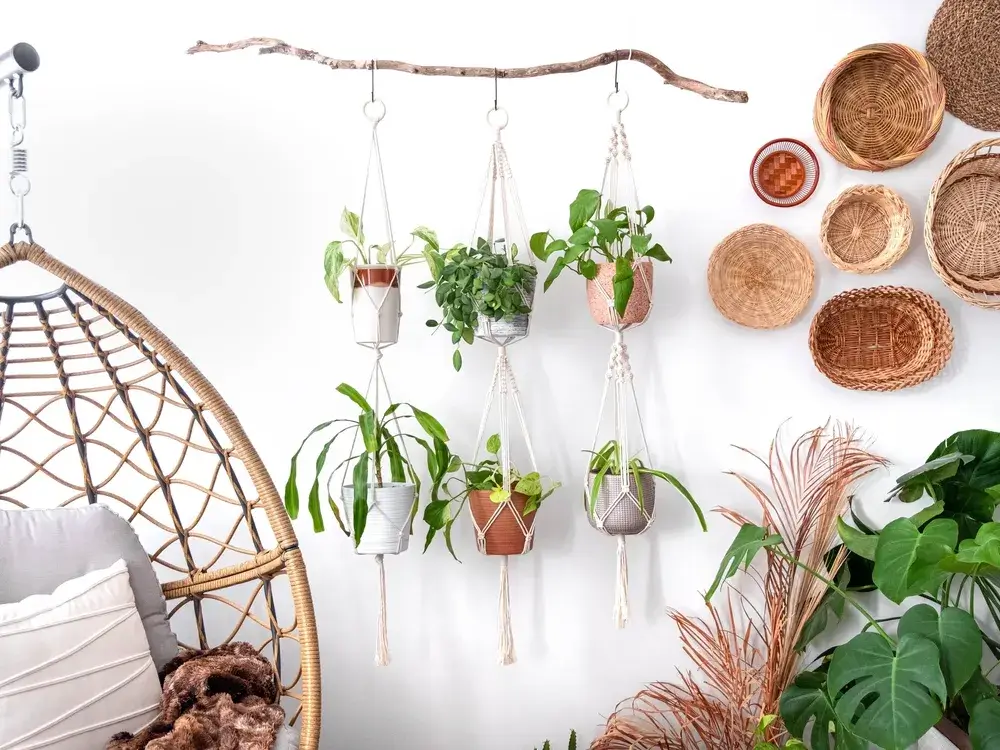 Macramé: decorazione per interni 1 Immagine di macrame