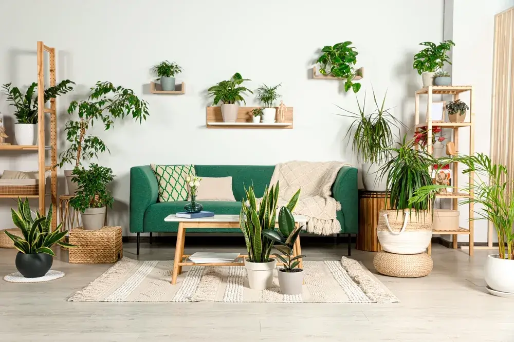 Stile hygge: come trasformare la casa? 1 Immagine di divano hygge