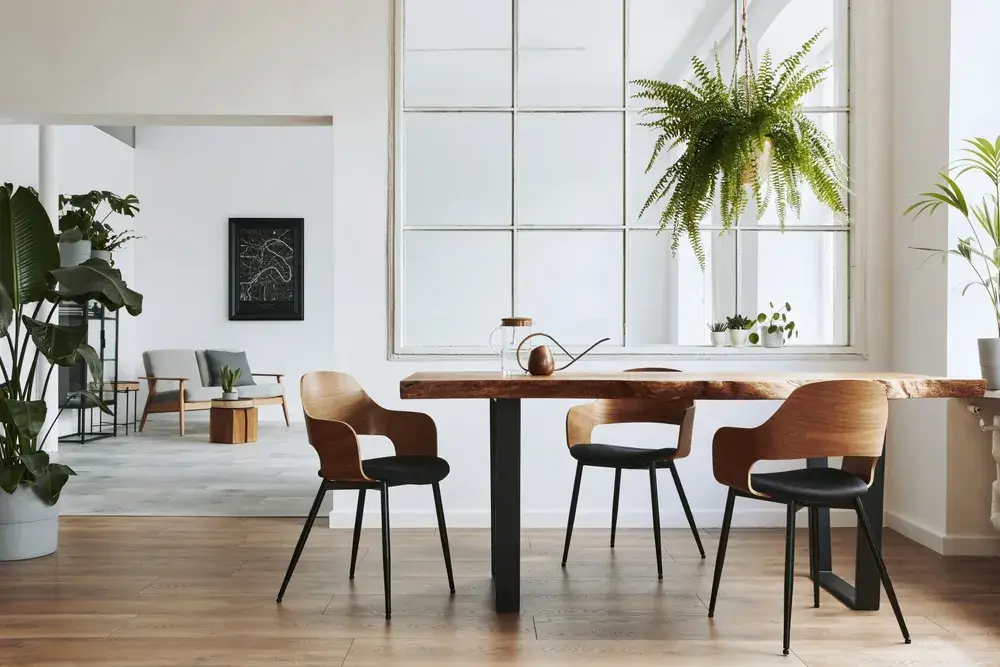 Sedie per il tavolo: scegli lo stile corretto 4 Immagine di sedia casa design