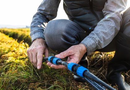 shutterstock_2264567243